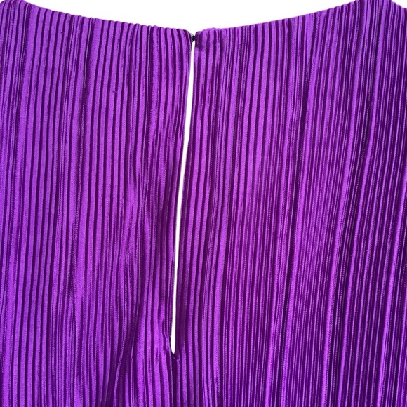 Maison Tara Purple Plisse Long Sleeve Dress Size 4 NEW - Picture 5 of 8